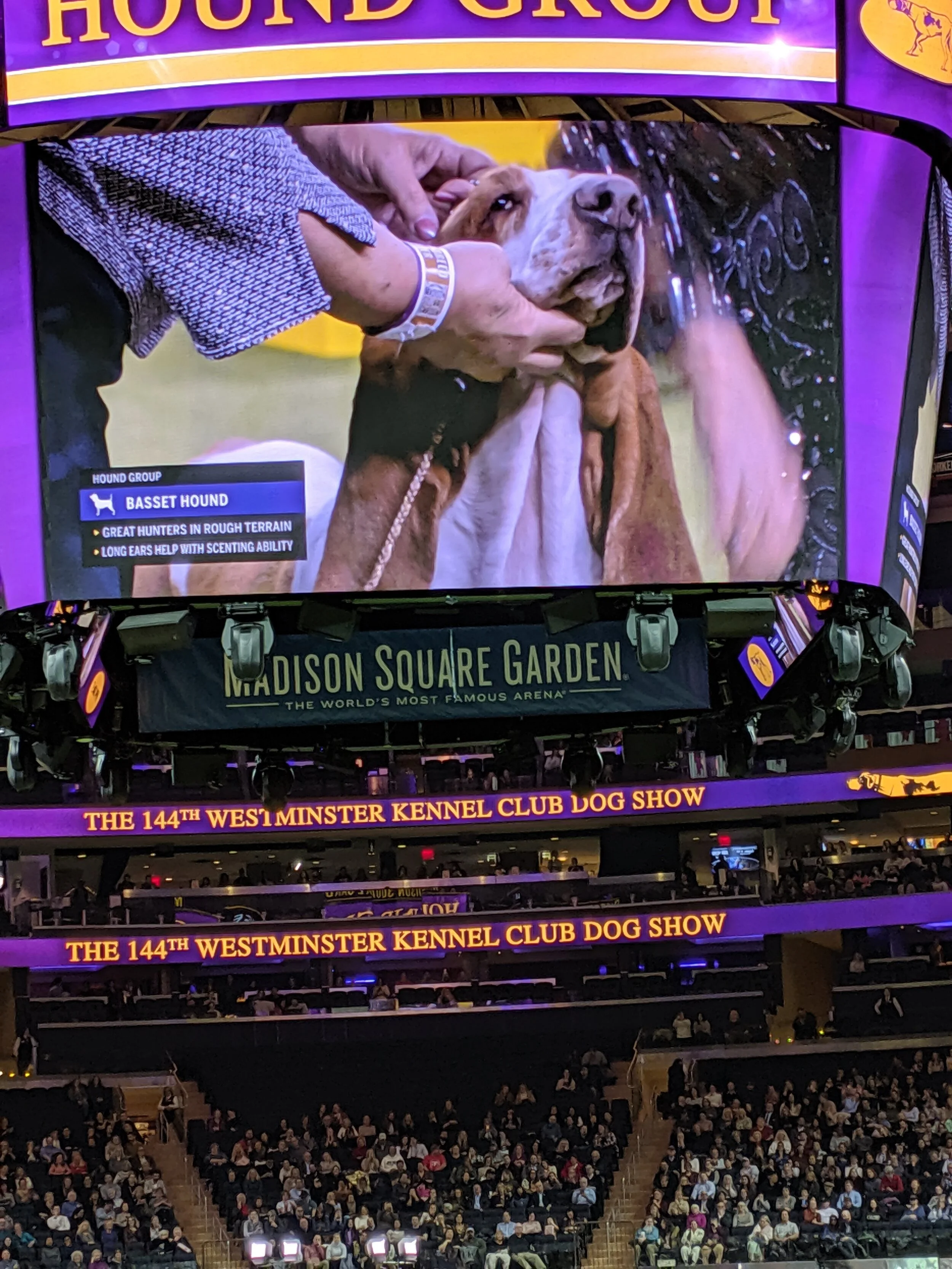 What we learned at The Westminster Dog Show