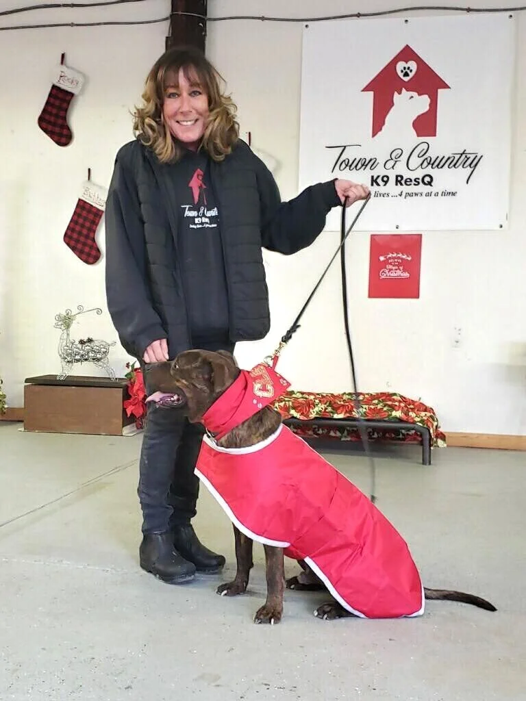 THE WOOF OF WALL STREET: THE MUTTLY CREW SPOKE WITH FORMER WALL STREET WARRIOR JEN MIHOCKO-TIERNEY. SHE IS THE FOUNDER AND EXECUTIVE DIRECTOR OF TOWN &amp; COUNTRY K9 RESQ LTD.&nbsp;