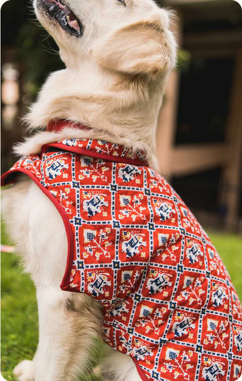 Screenshot 2026-03-06 at 05-08-55 Buy Cotton Quilted Winter Dog Jackets Online in India Flury.png