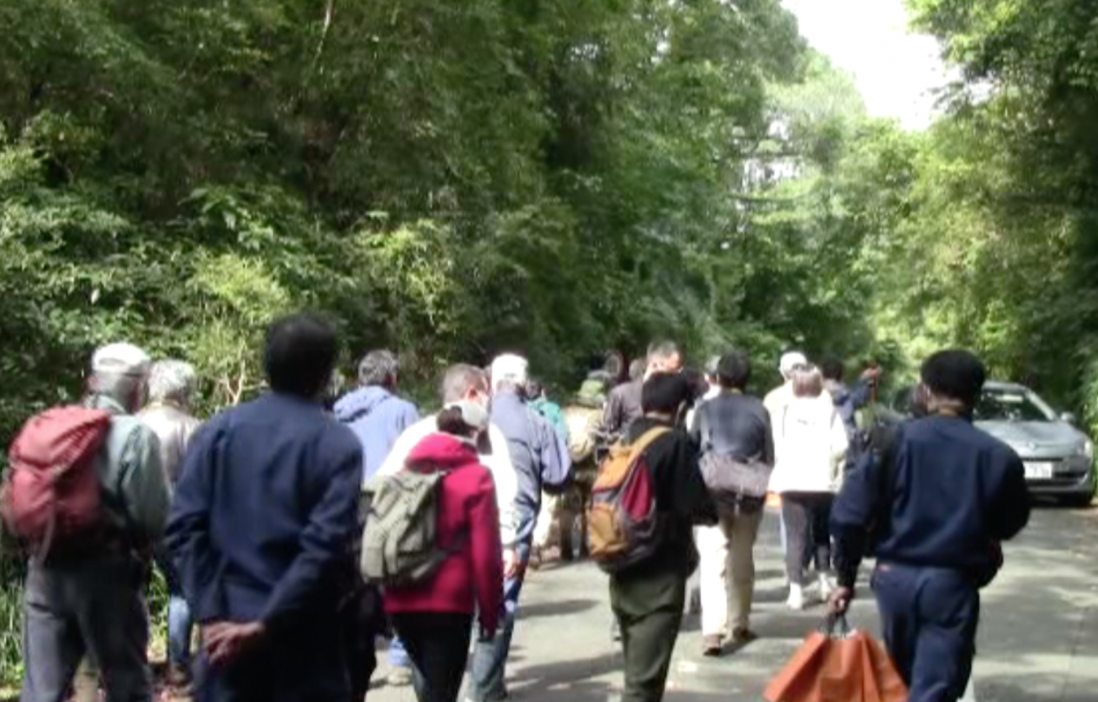 Screen Shot 2021-02-10 at 16.58.01.png