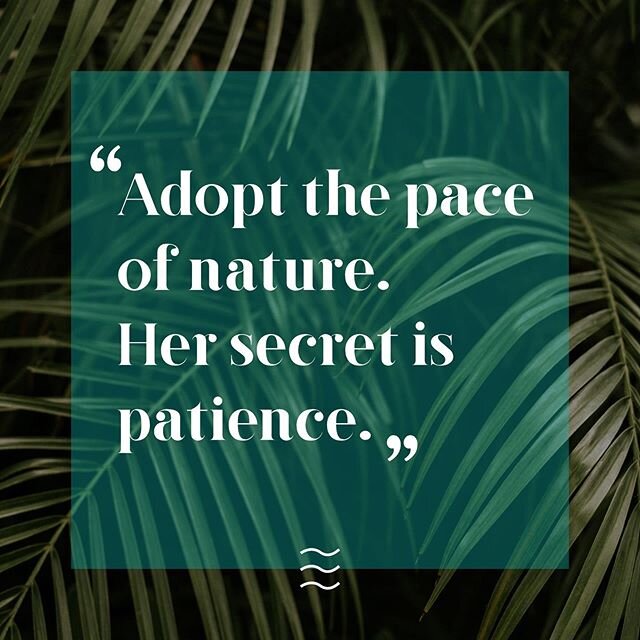 &ldquo;Adopt the pace of nature. Her secret is patience.&rdquo; What Ralph Waldo Emerson said 💛  So easily forgettable, yet always the truth. Everything happens in her own time and pace. Set the intention, strive without expectation, and the rest wi