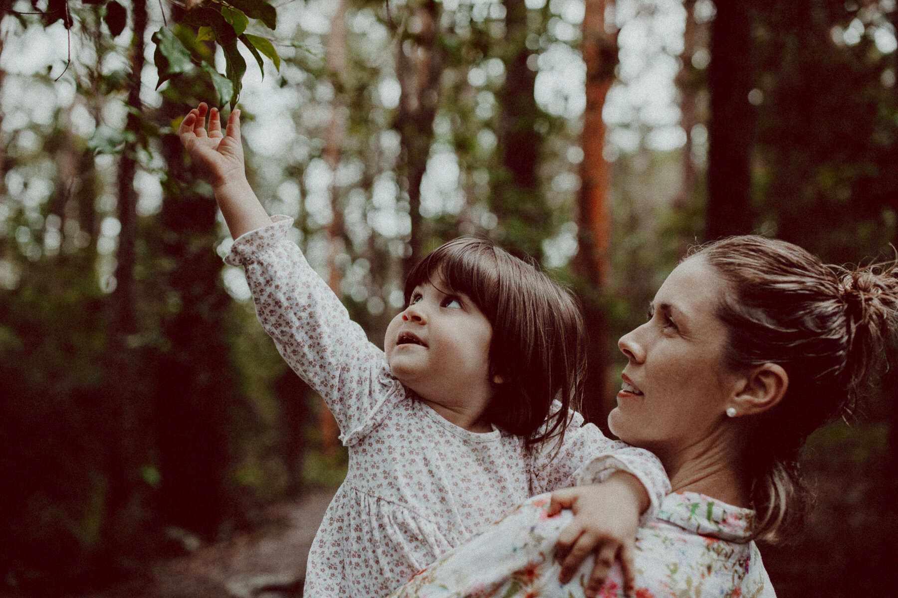 Daughter and Mother looking at leaves in Mount Nebo Jolly's lookout 