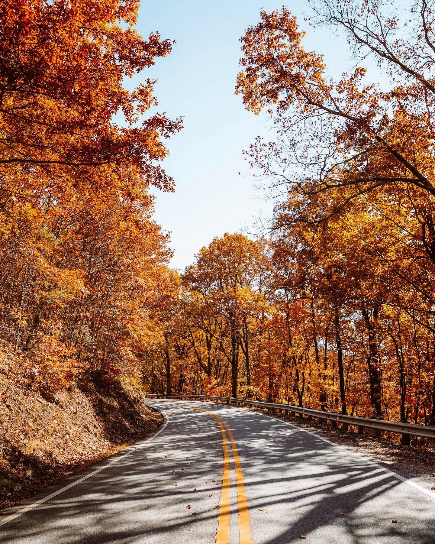 November 🍂

Road-tripping this time of year is my favorite thing to do. This time last year, @romanhamed1991 and I road-tripped to Georgia to camp at @getawayhouse. During our stay, we were able to see the leaves change in Chattahoochee National For
