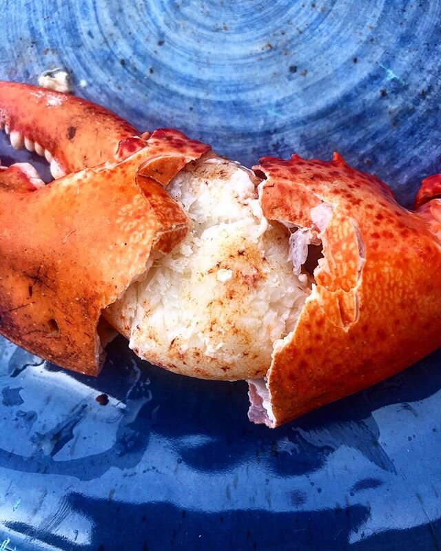 sometimes life is so simple 
#maine #lobster #clambake #summer #lunch #friends #beach #seafood #summermenu #shellfish #alfresco #downtheshore #newjersey #coastal #icravephilly #louisjadot #claws 
#pouillyfuiss&eacute;  @mariesseafood @elinsley