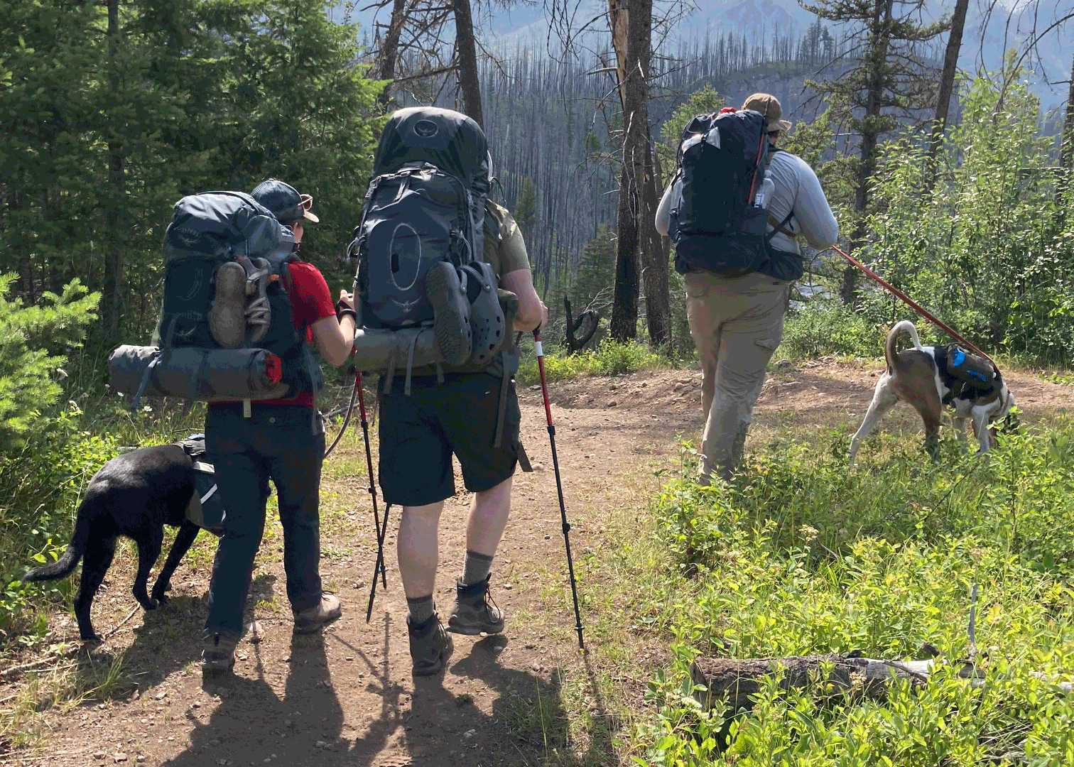 Exploring New Horizons: What I Learned Backpacking for the First Time