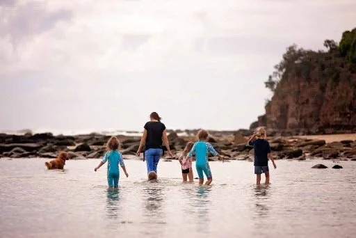 7 Rockpools to Explore on the Sunshine Coast