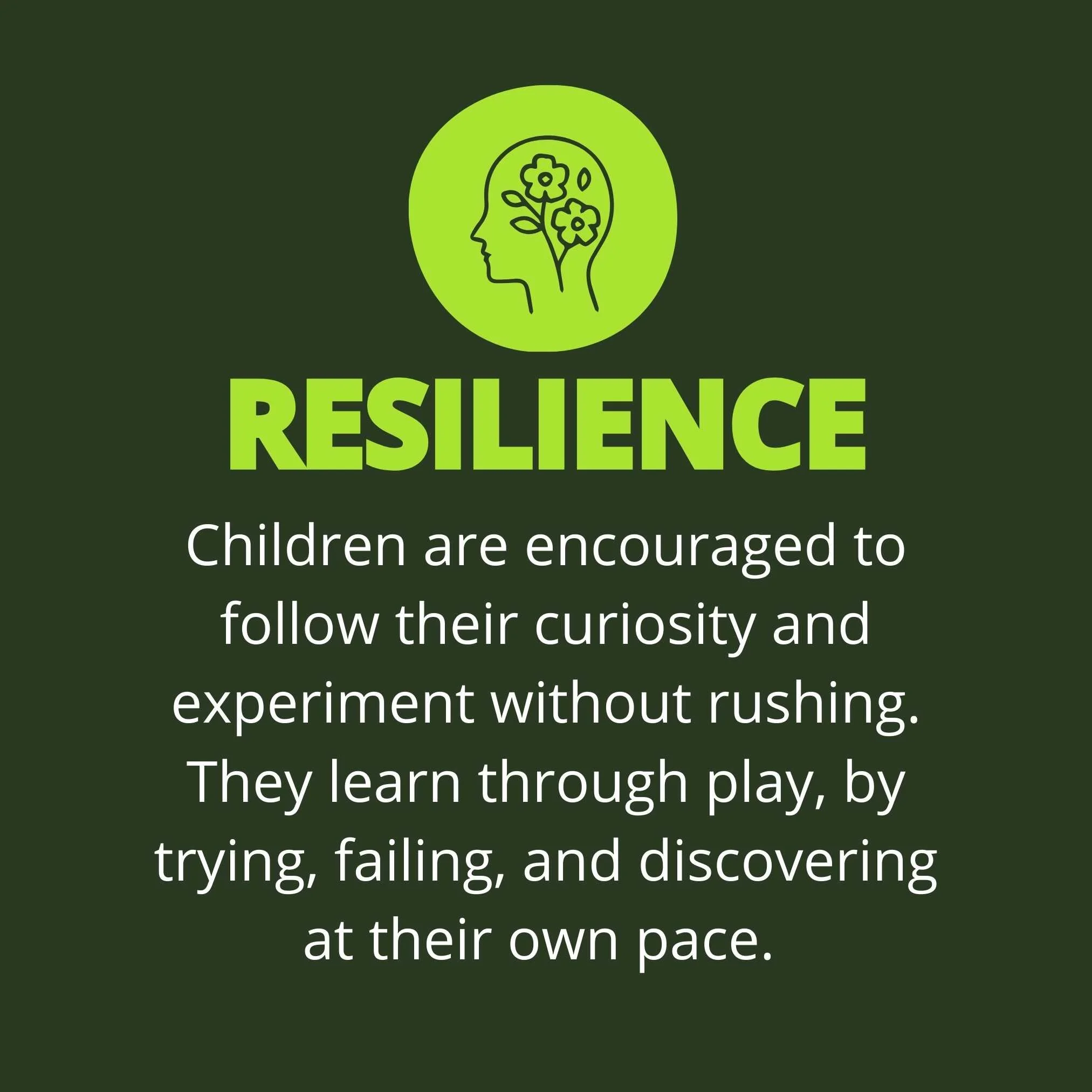 Wildlings Nature Play Excursions Brisbane Sunshine Coast (5).jpg