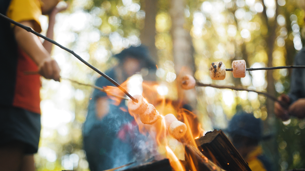 RESPECT AND REVERANCE: Fire Safety for Kids — Wildlings Forest School