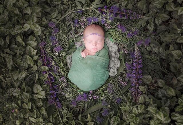 First newborn session for me in a looooooong while, and first ever outside. I&rsquo;m not going to lie this might be a new thing ;) although the clouds were on and off and it was warm enough I don&rsquo;t think our weather is consistent enough to pla