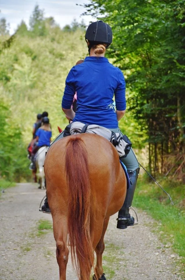 The crooked horse 3 common causes