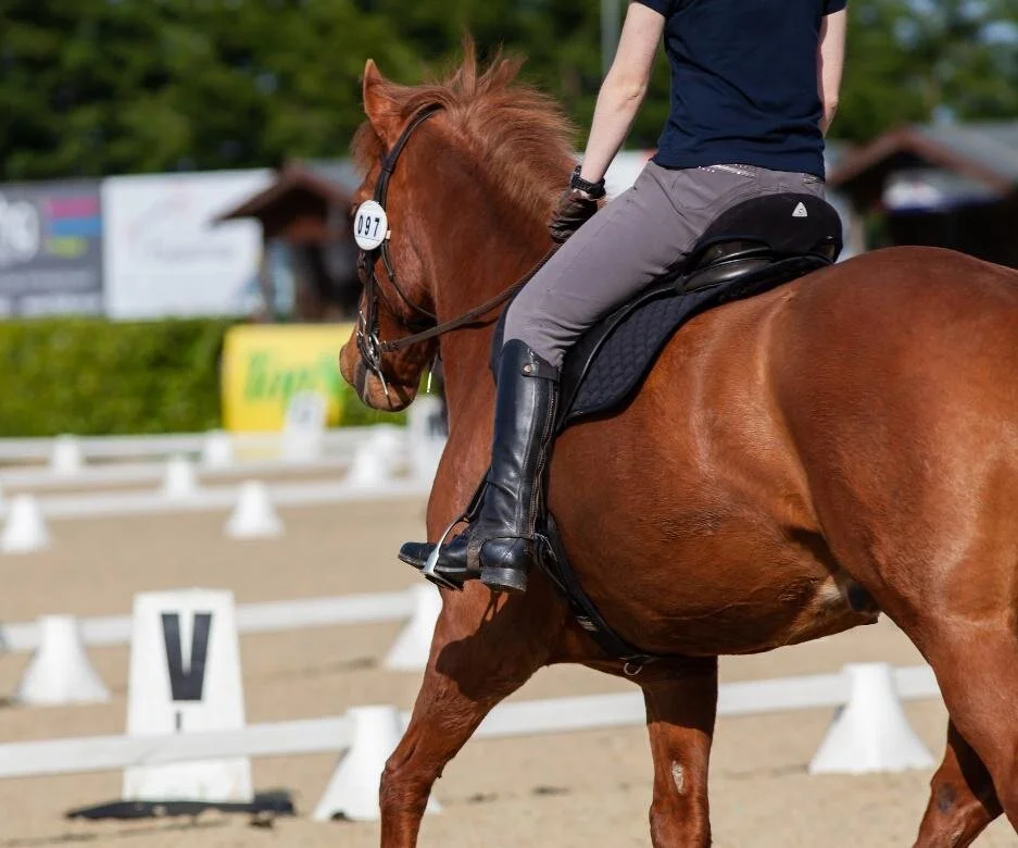 Riding for the disabled - Disability is not inability.
