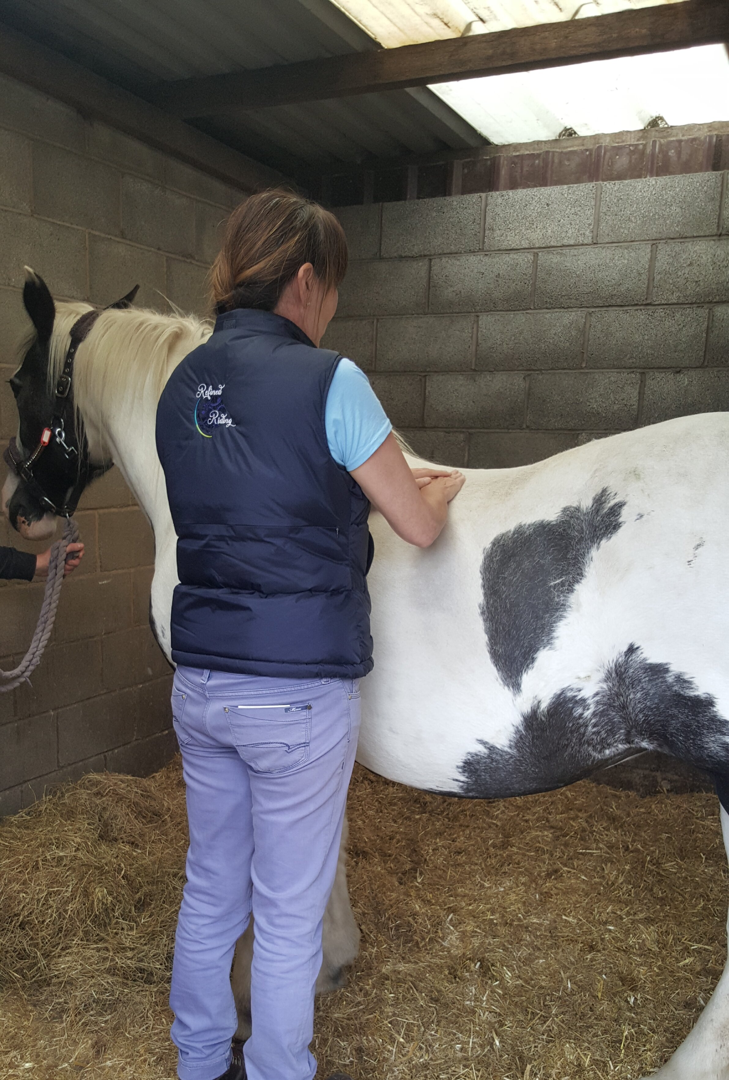 Equine Sports Therapy