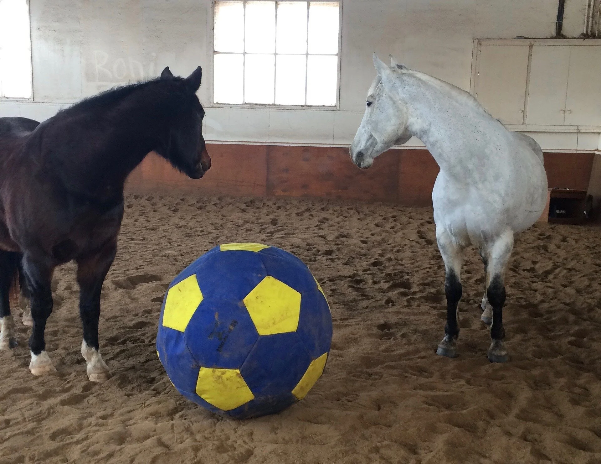 Movement restoration vs rehabilitation