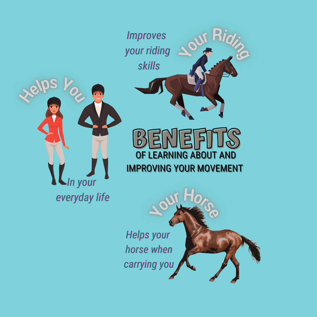 Refined Riding Biomechanics For Horse Riders