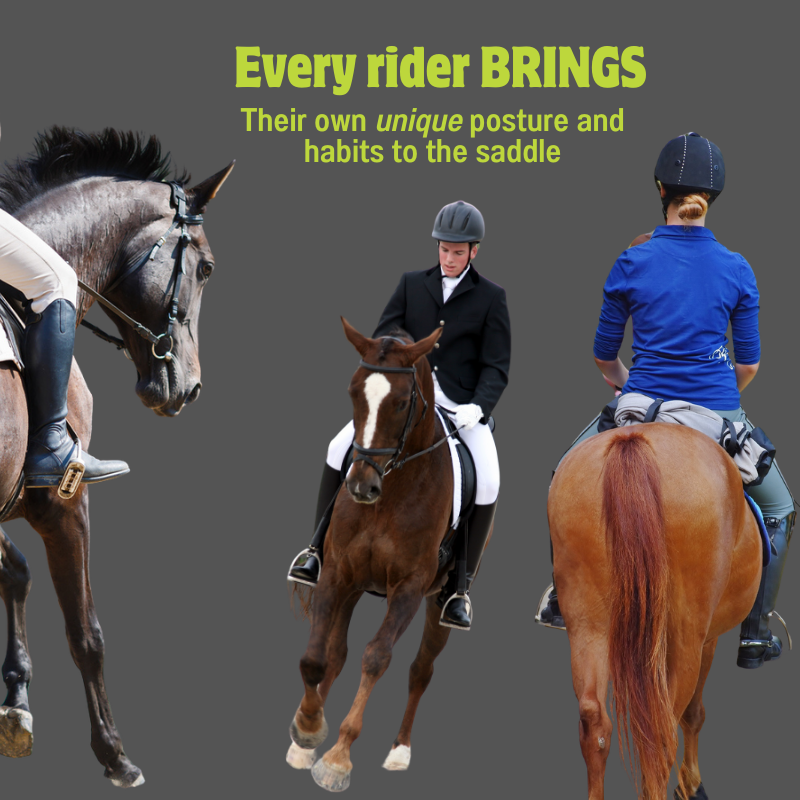 The Rider's Weight Aid Explained — Refined Riding Biomechanics For ...
