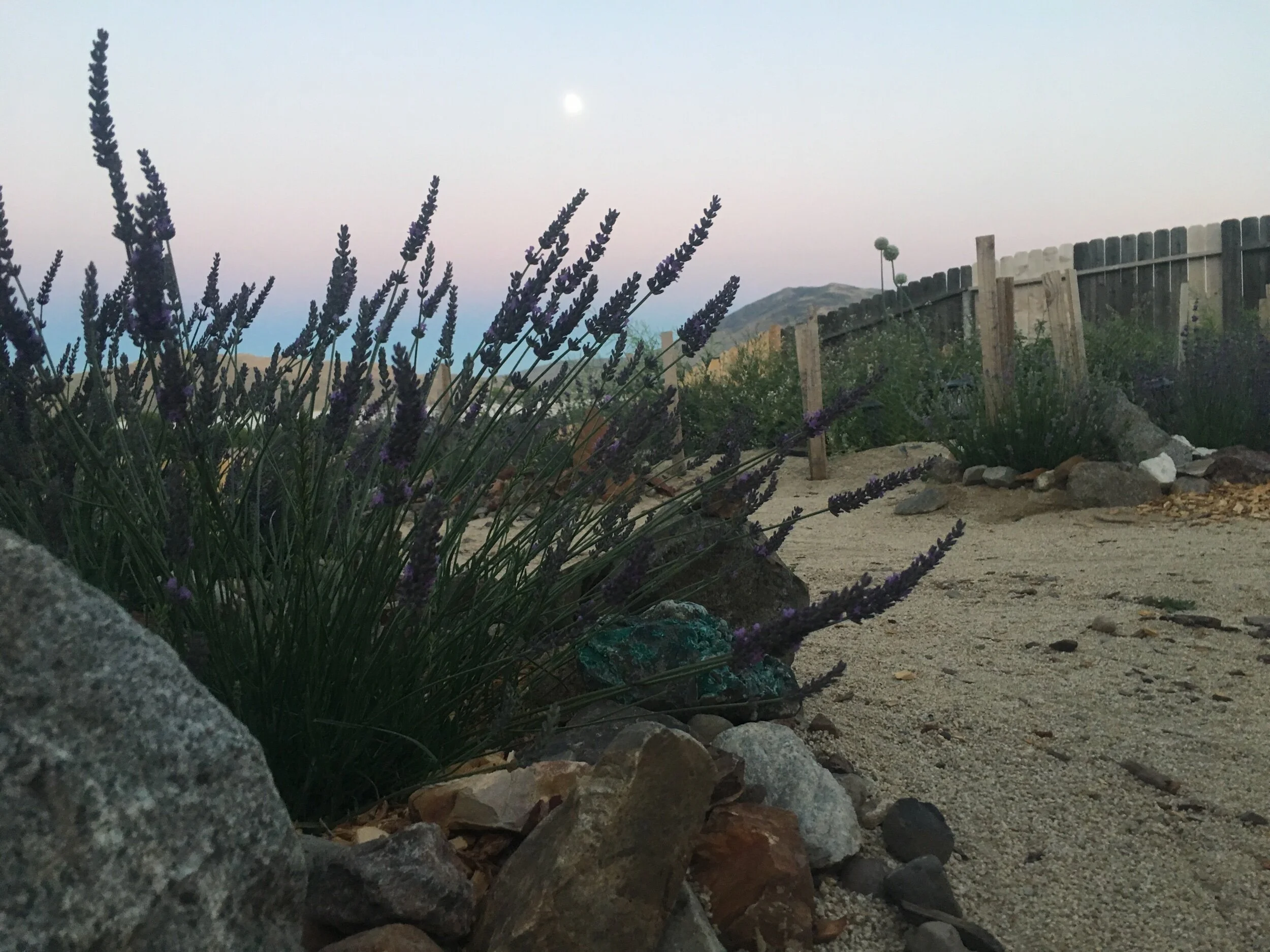 IMG_1094.jpeg