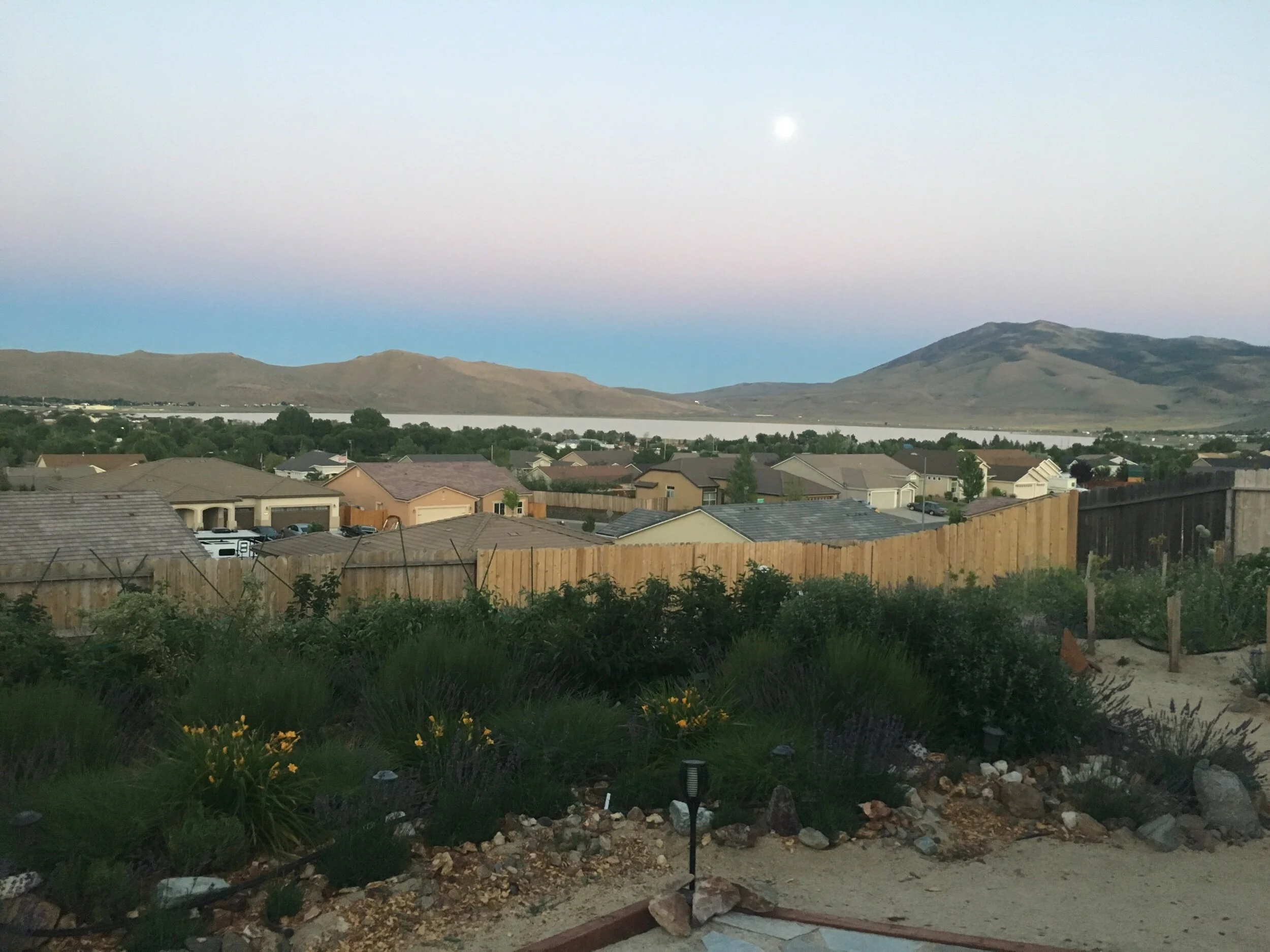 IMG_1095.jpeg
