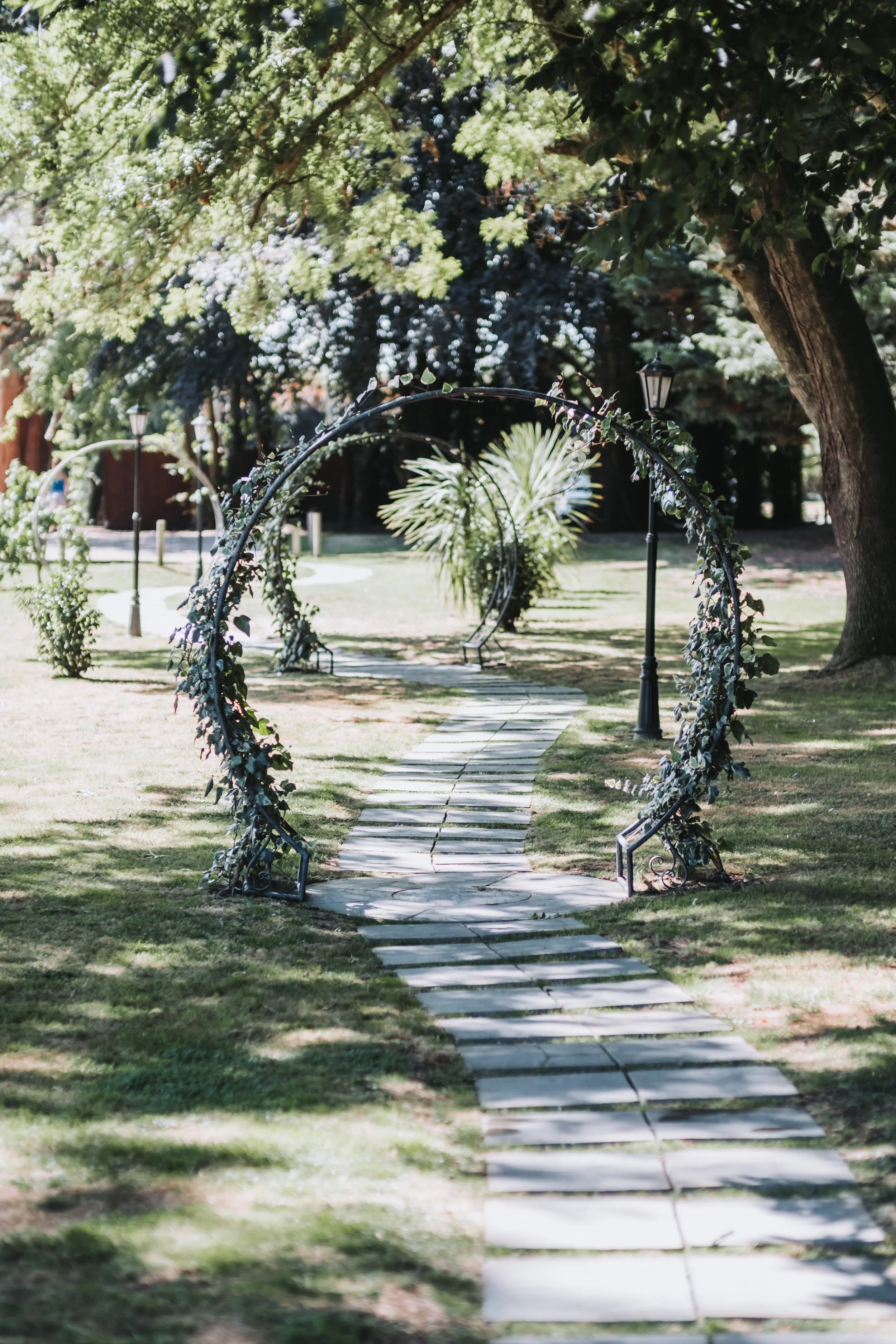 Ovis Photography