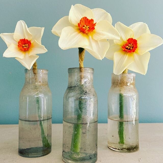 The sun is shining 👍🏼👍🏼✅✅✅#keepsafe#enjoythesunshine#eatwell#exercise #enjoywhatyoudo#simplethings#daffodils #frenchglass#decor#decorative#keepsmiling