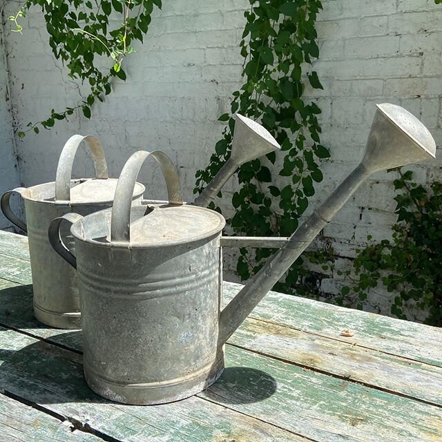 Love these vintage watering cans, available now @chateau_valende_interiors please dm for free local delivery #vintagewateringcans #vintagewateringcansawait #style #gardenlife #lockdowngardening #home#liveyourbestlife #loveyourself #treatyourself #fat