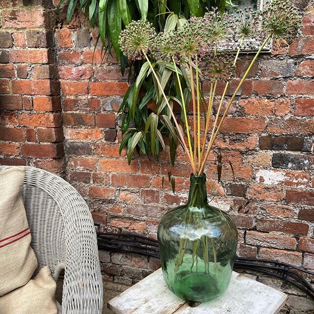 Indoor/Outdoor Living. These beautiful French Green Glass Bottles are available @chateau_valende_interiors  free local delivery available. Check out the website for more details or DM. #green #greenglass#french#bottles#garden#live#beautiful #interior