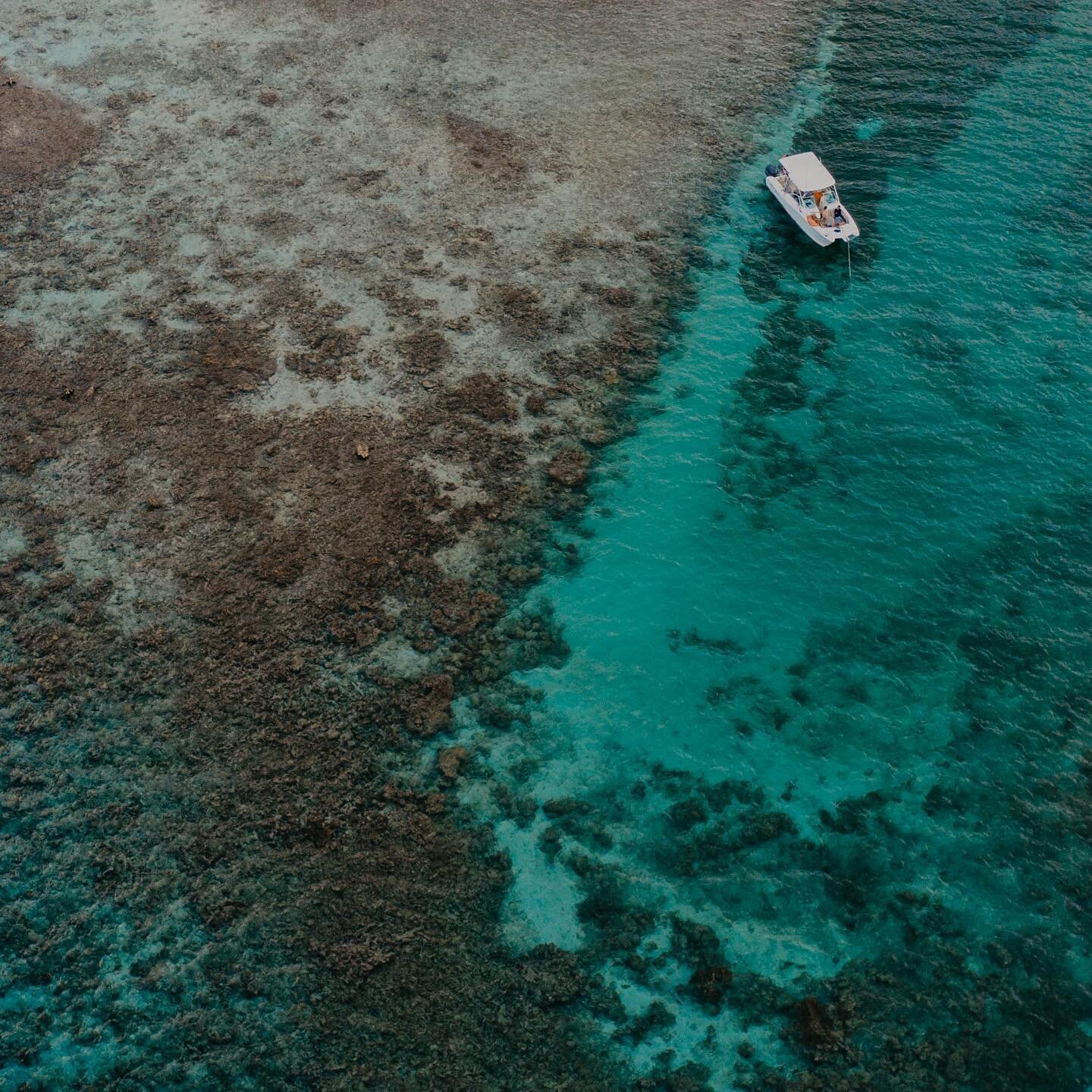 A view from above of one of our favorite coves. 

#charter #charterboat #vacation #usvi #vi #bvi #stjohn #stthomas #visitusvi #vacationgoals #passionpassport #caribbean #caribbeanvacation #boating #worldcat #virginislands #yamahaoutboards #explore-mo