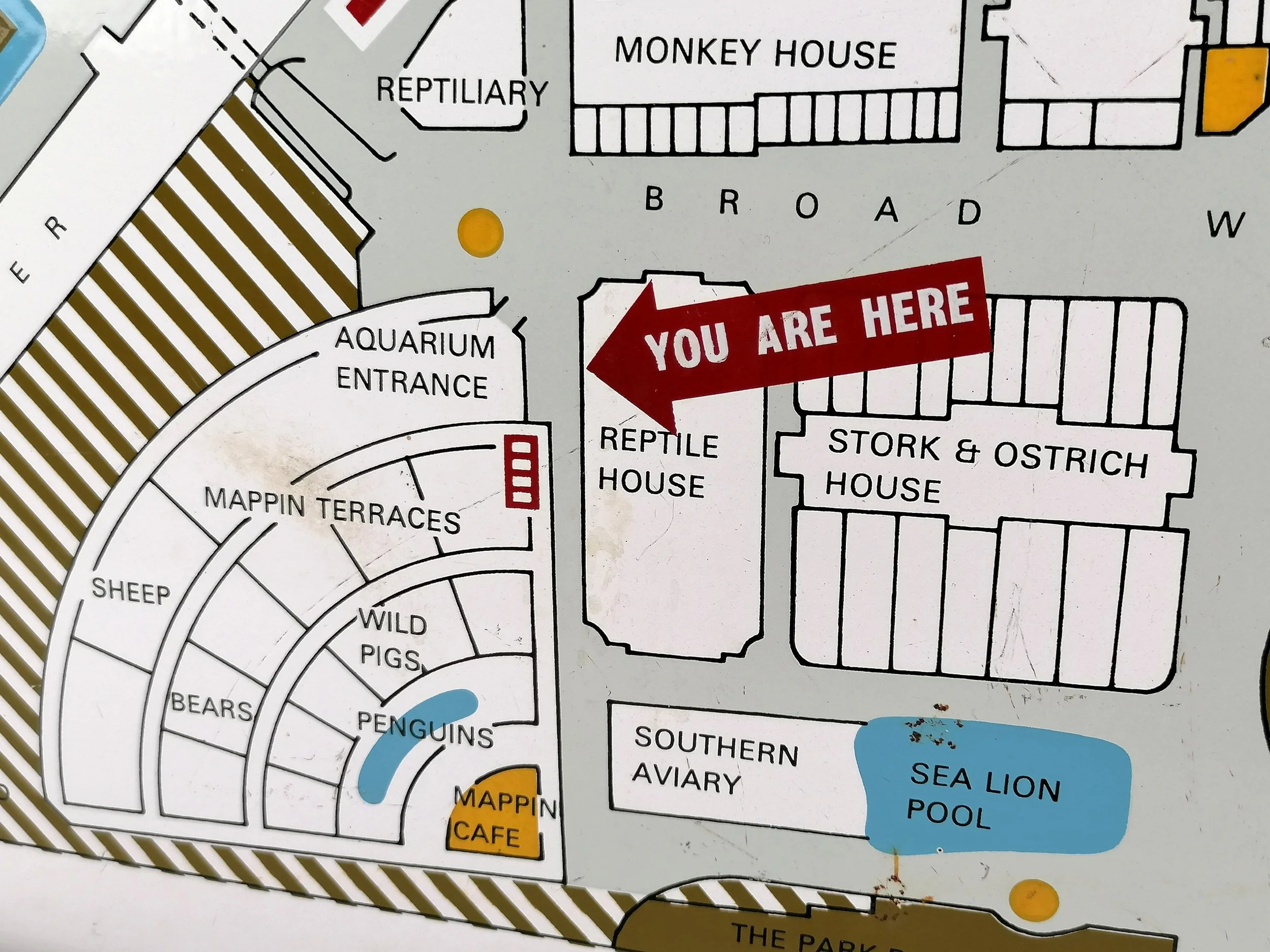 1967 Enamel Map of London Zoo - ICONIC Antiques | Cool Old Stuff