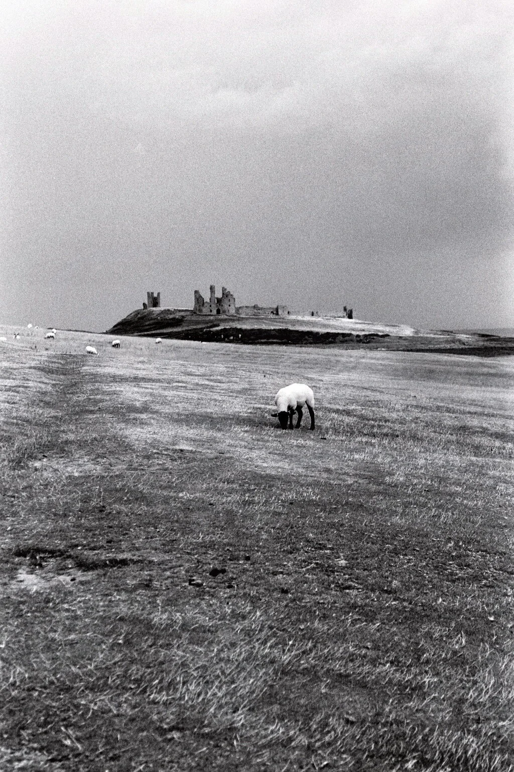 imm027_28A.jpg
