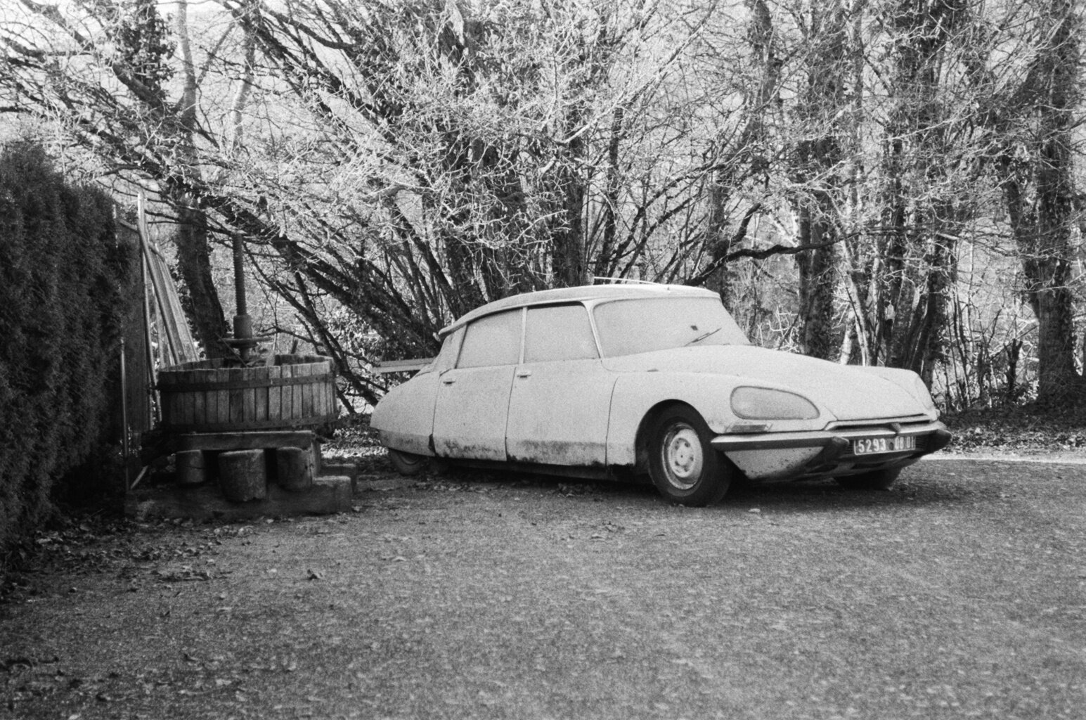Citroen.jpg