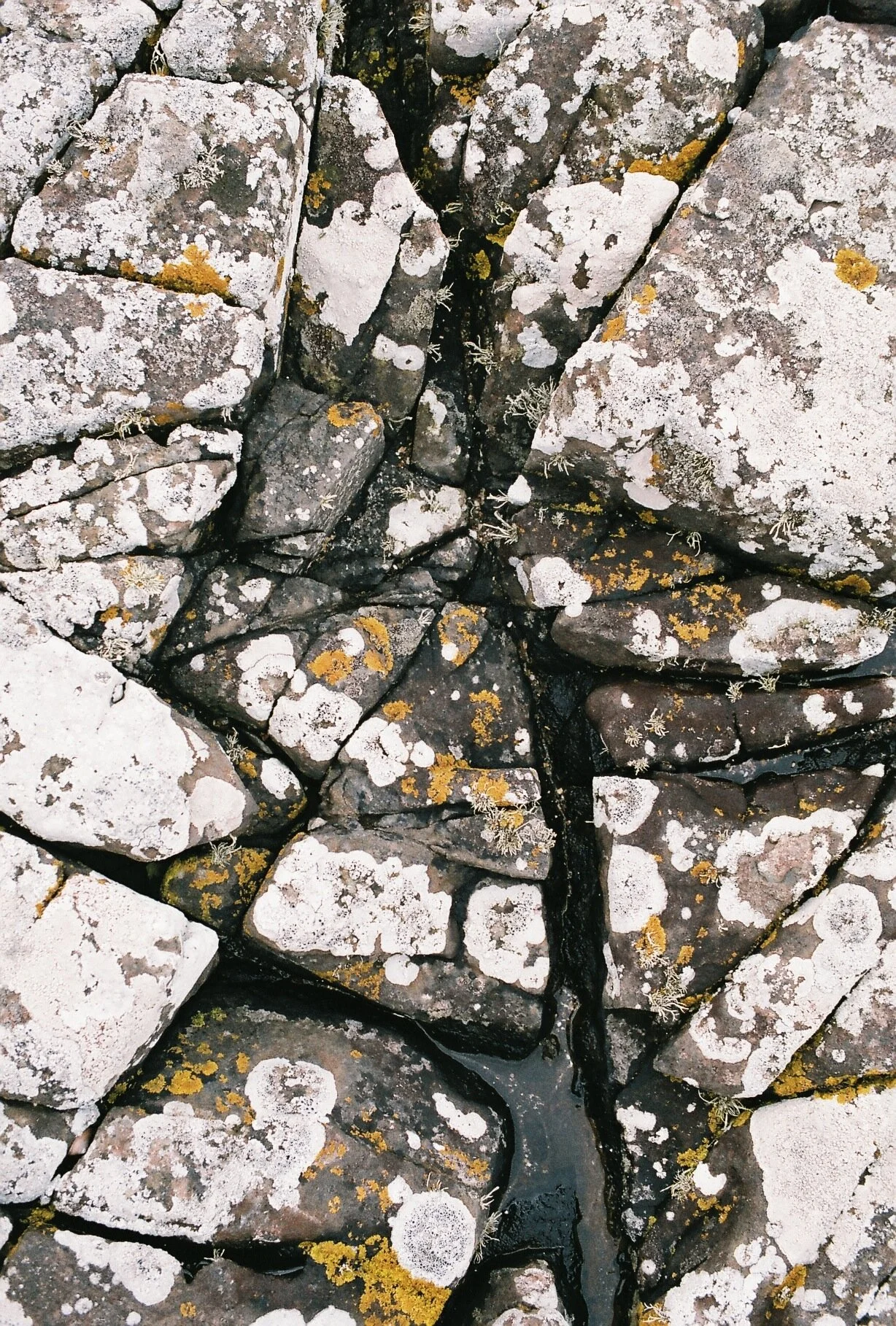 Rock Study 2.jpg