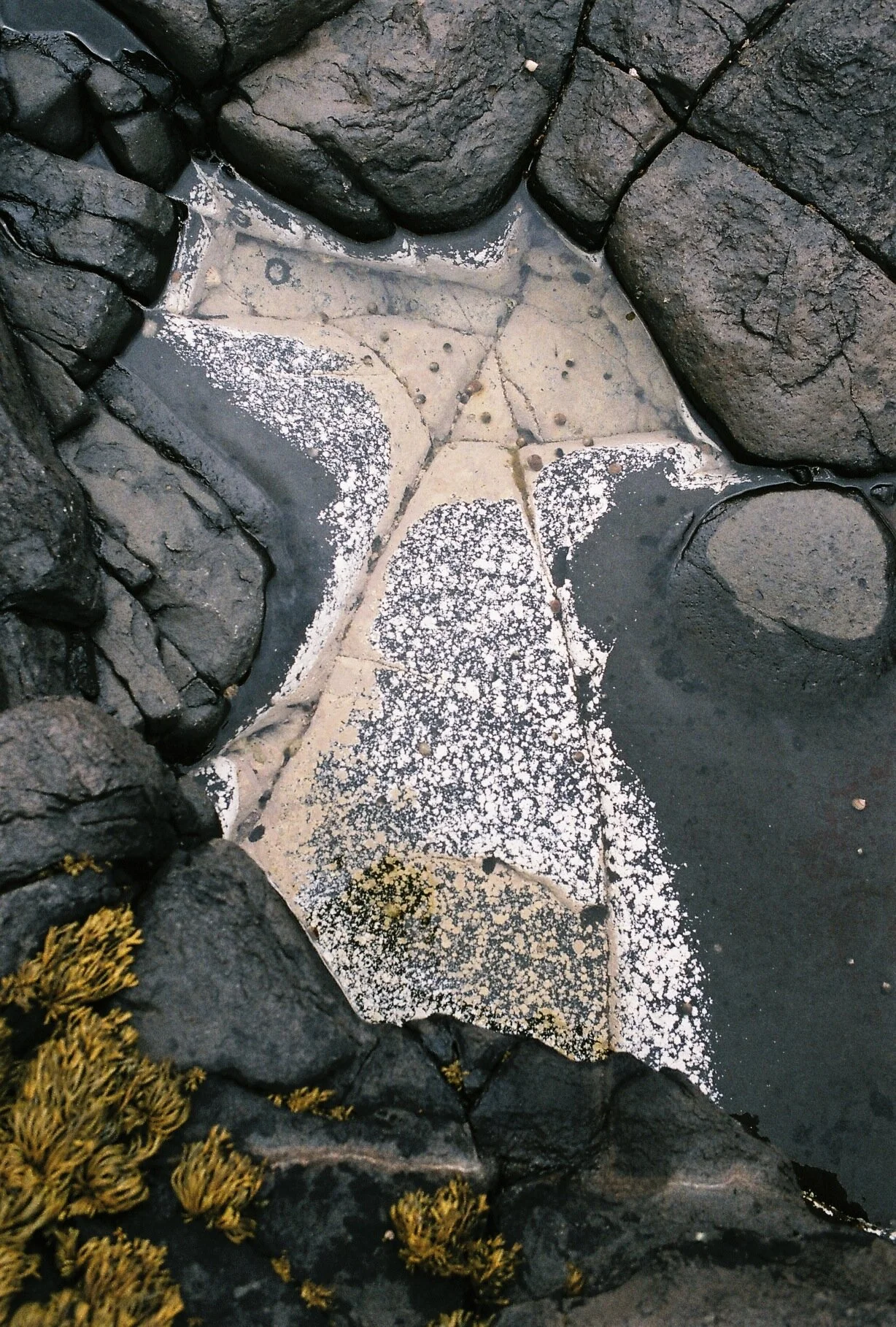 Rock Study 1.jpg