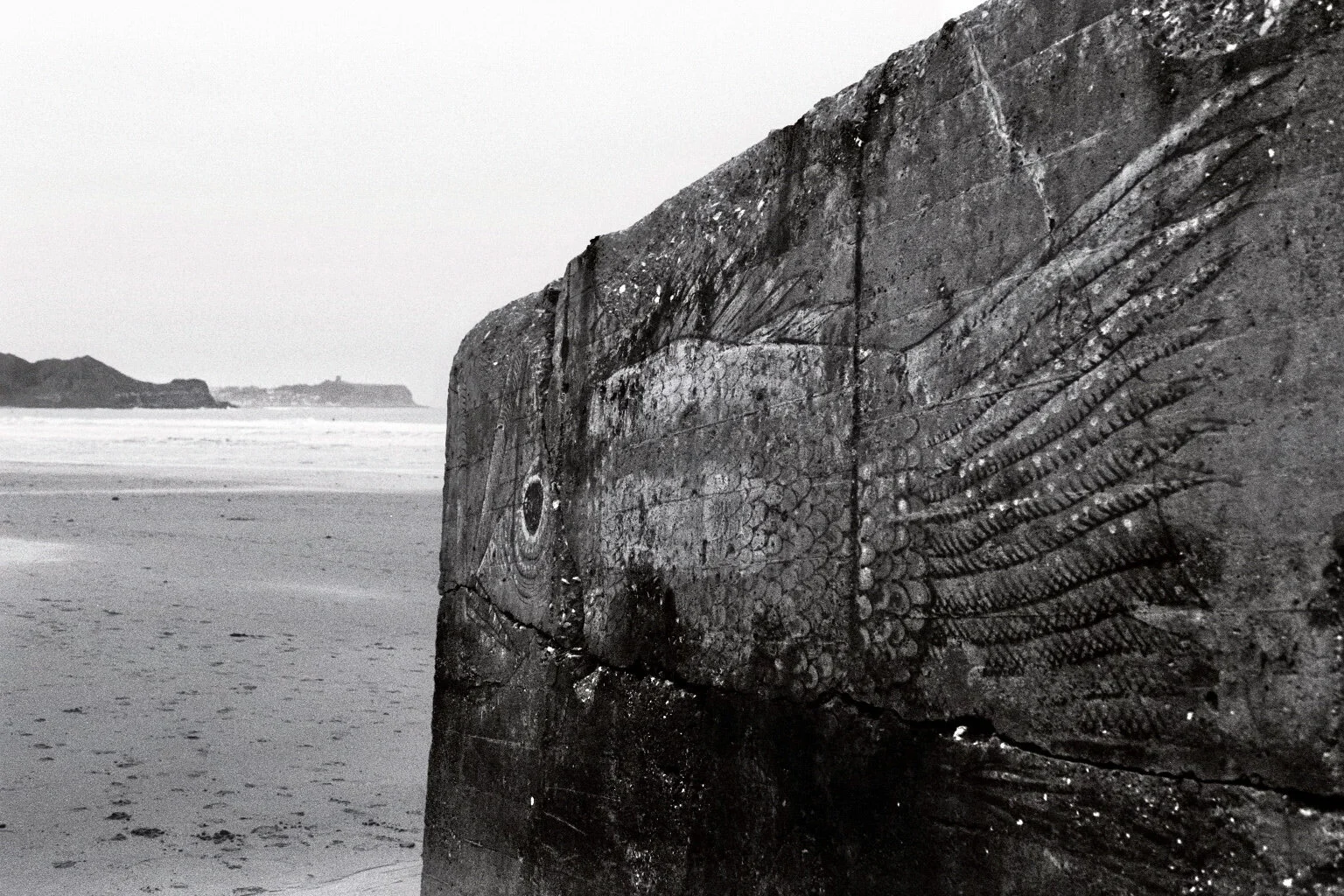 Cayton Bay 3.jpg