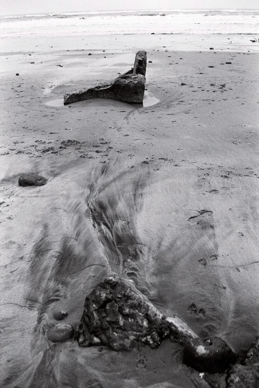 Cayton Bay 6.jpg