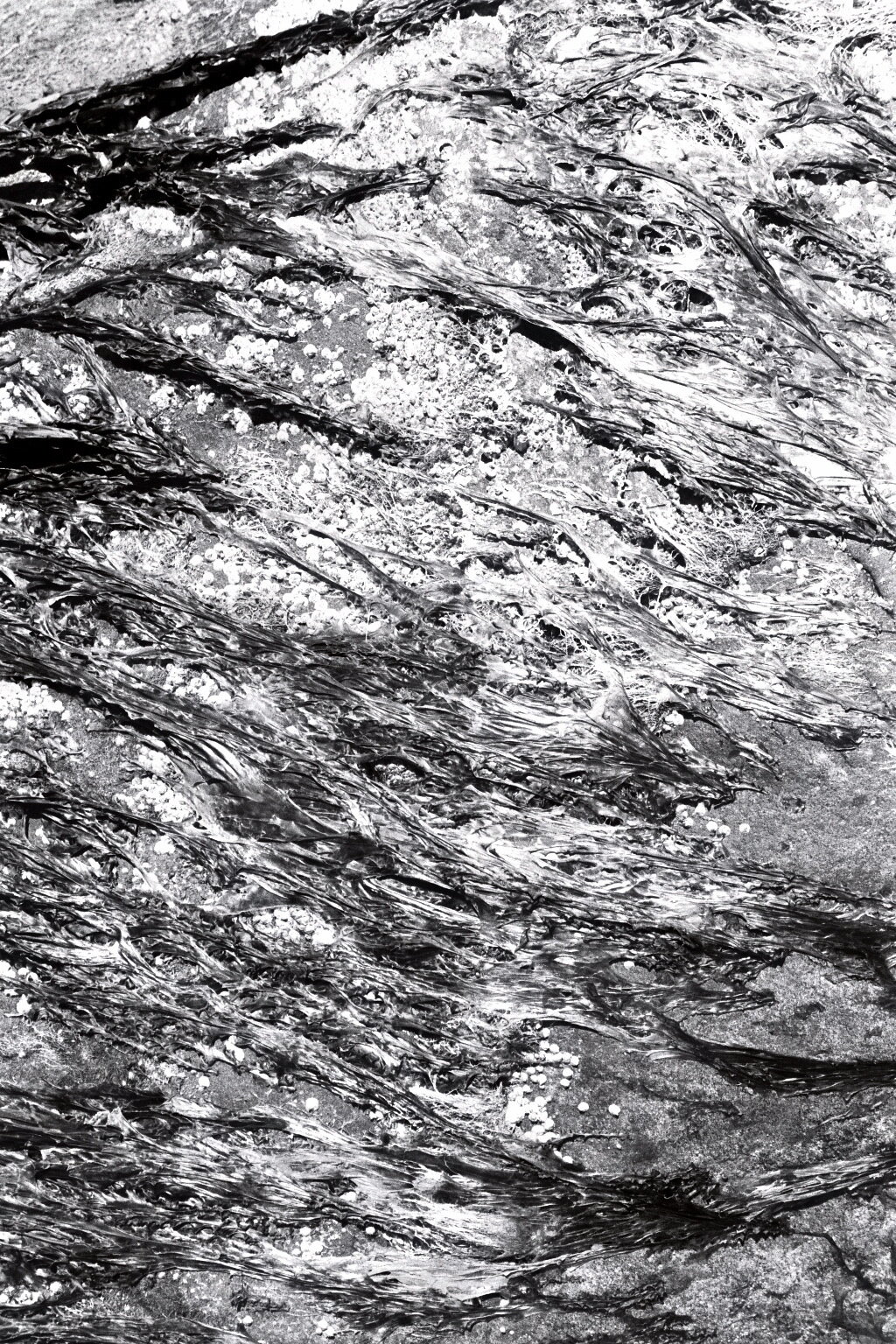 imm018_19A.jpg