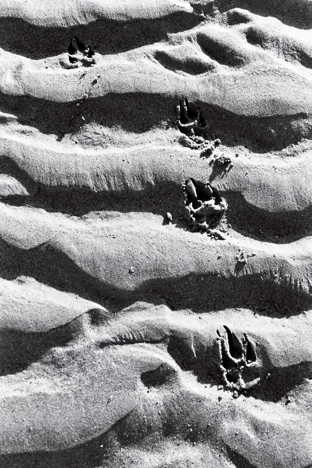 imm023_24A.jpg