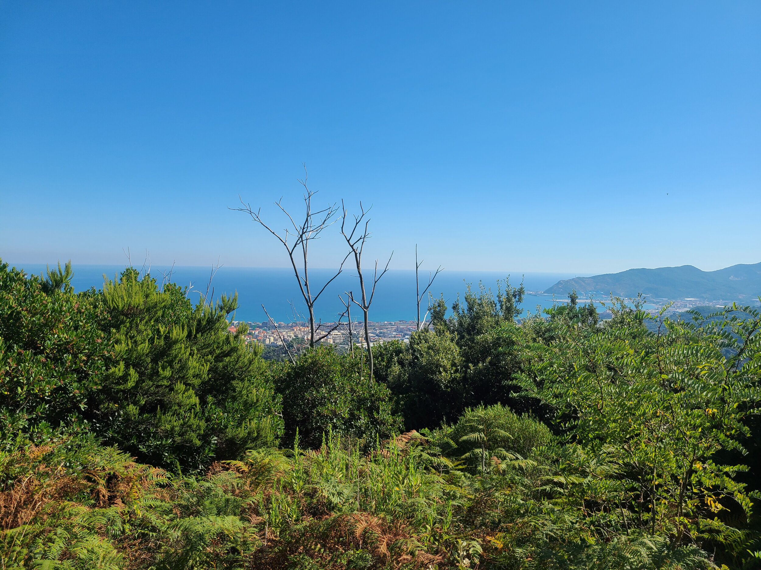 20200904_160349.jpg