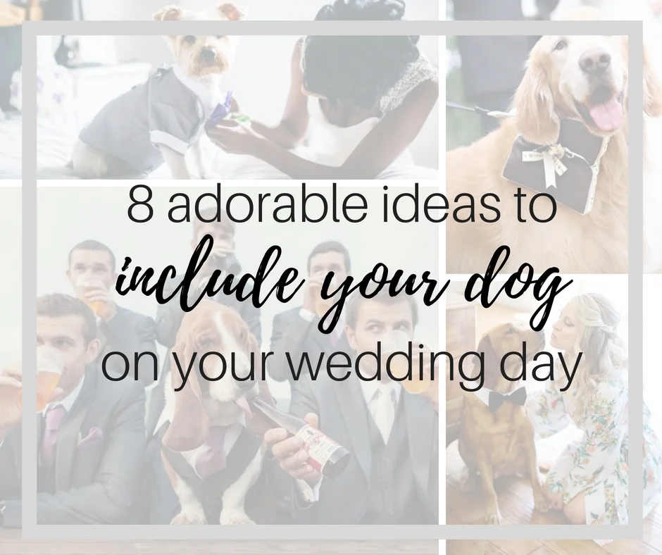 8 Adorable Ideas to Include Your Dog on Your Wedding Day