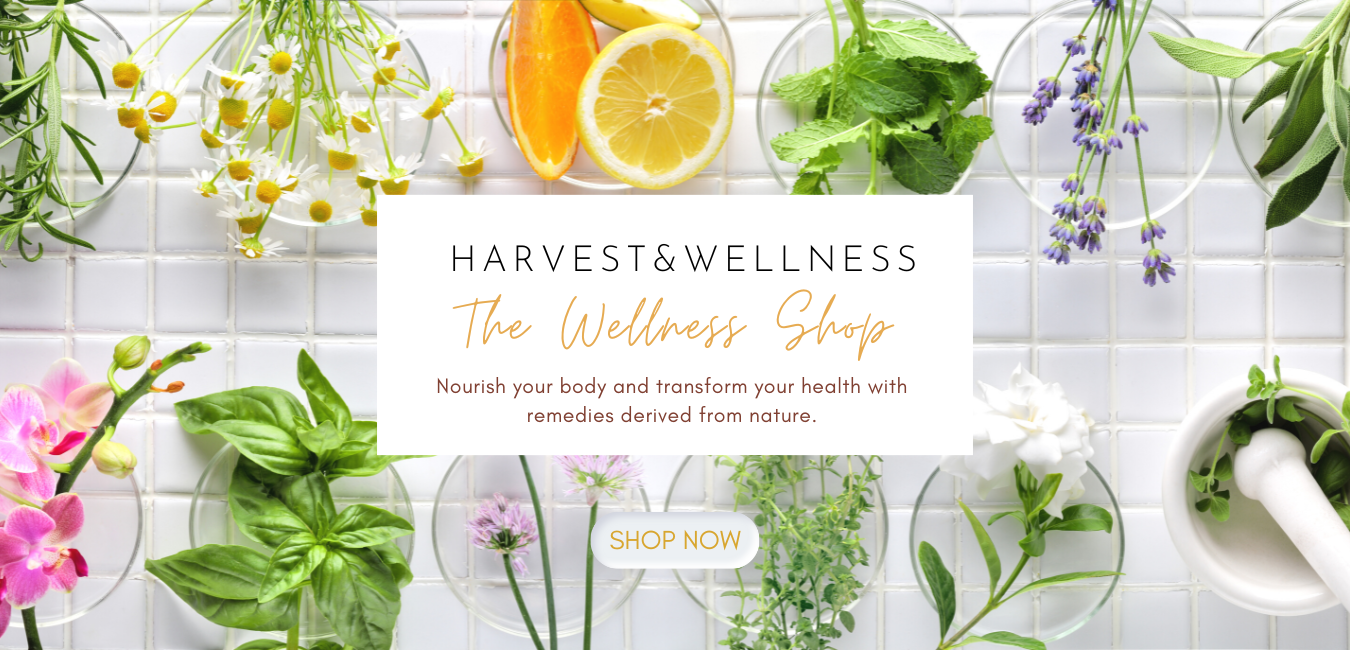 the wellness shop.png