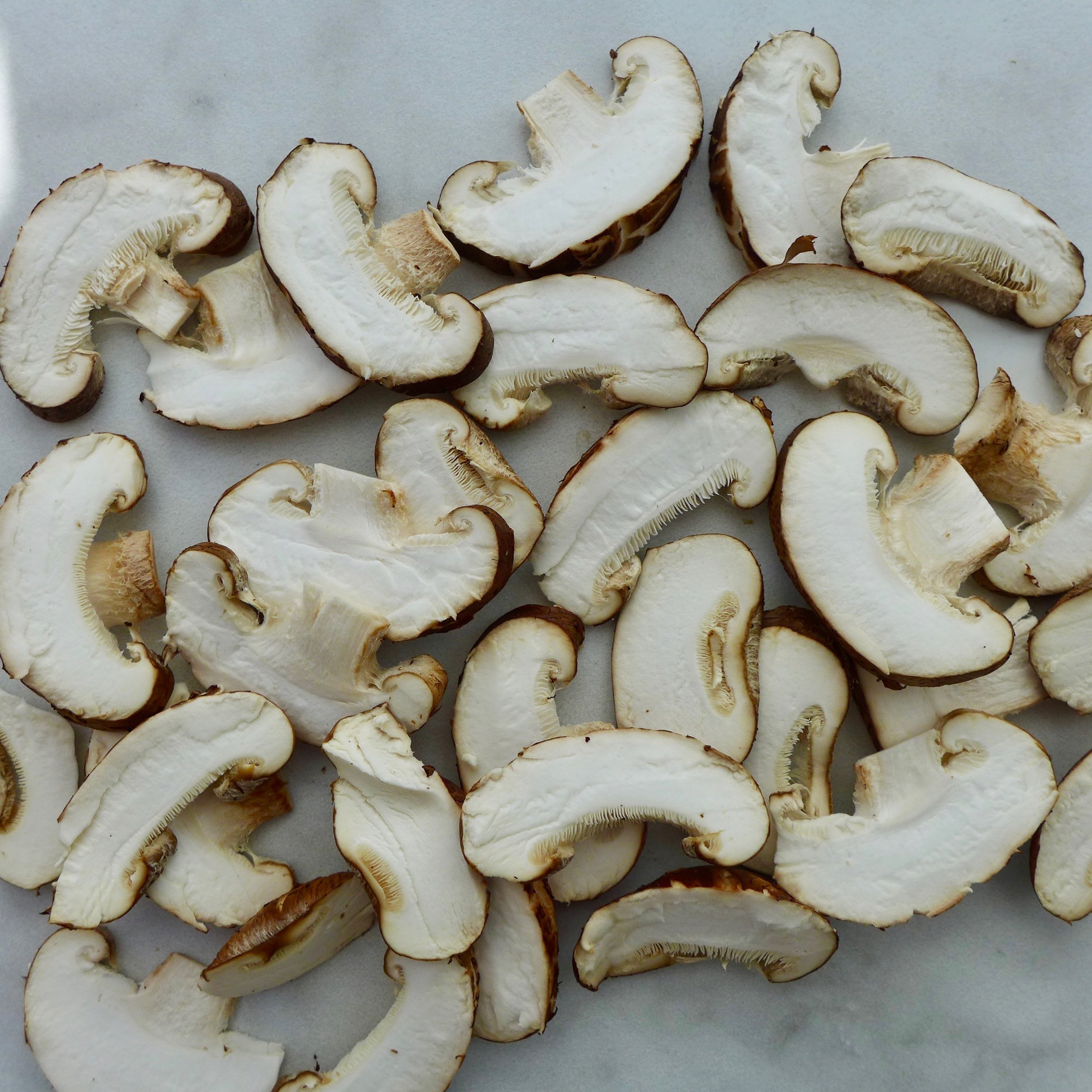 shitake mushroom.jpeg