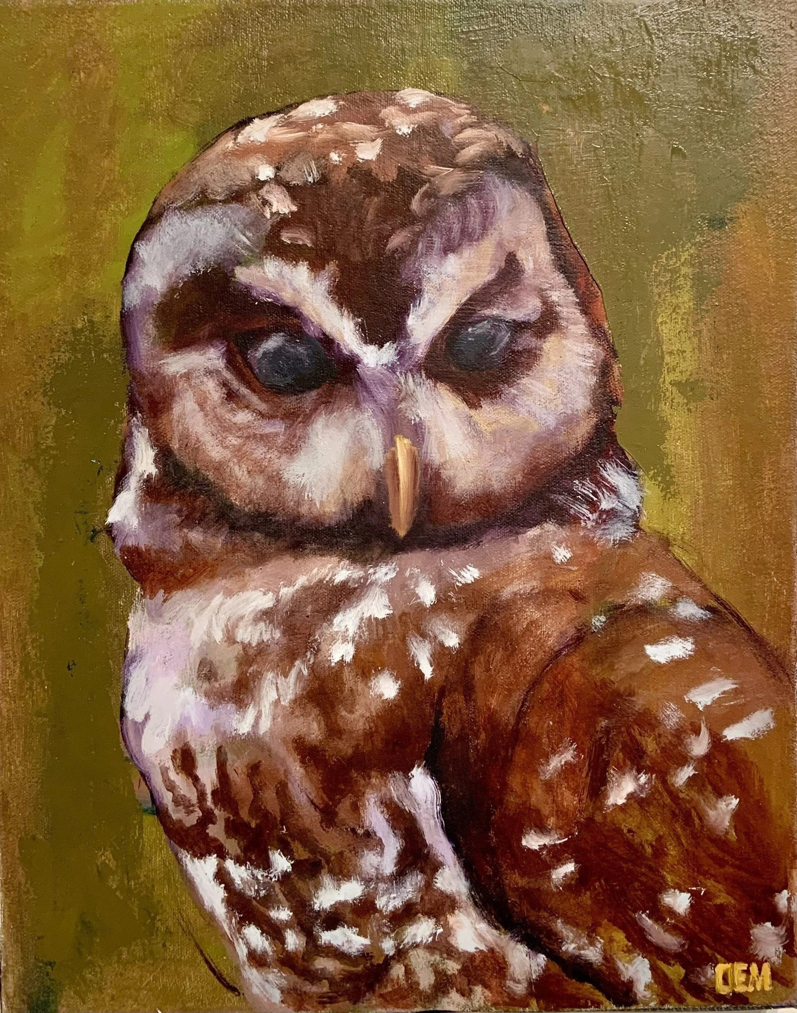 Glassy Eyes Owl.JPEG