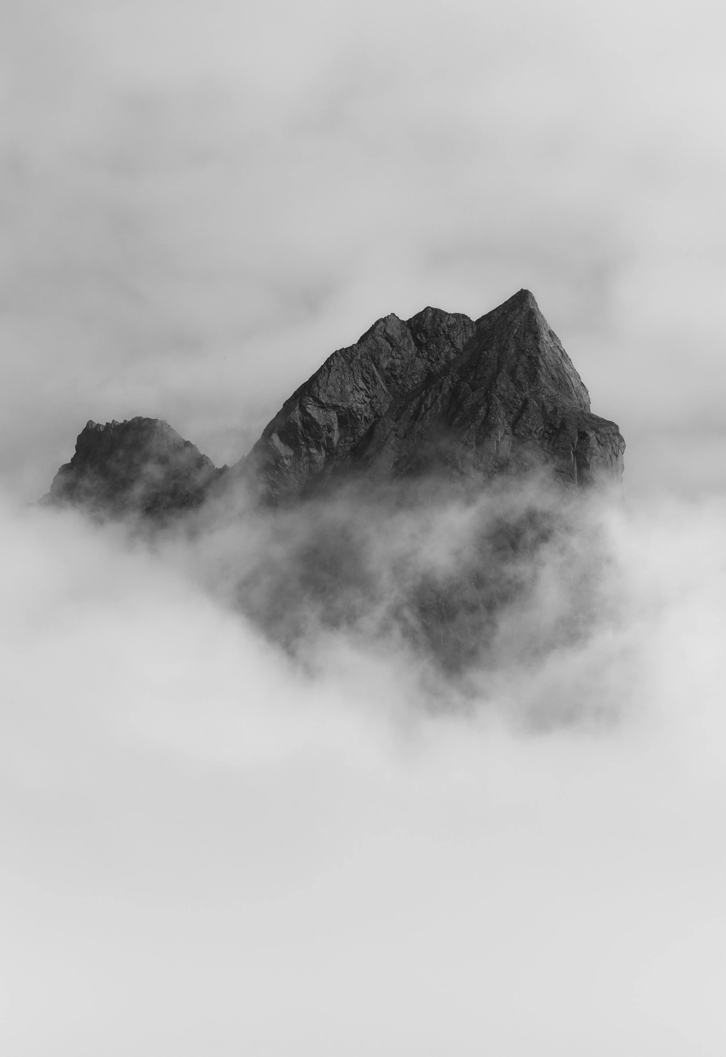 black and white stokknness horn-1.jpg