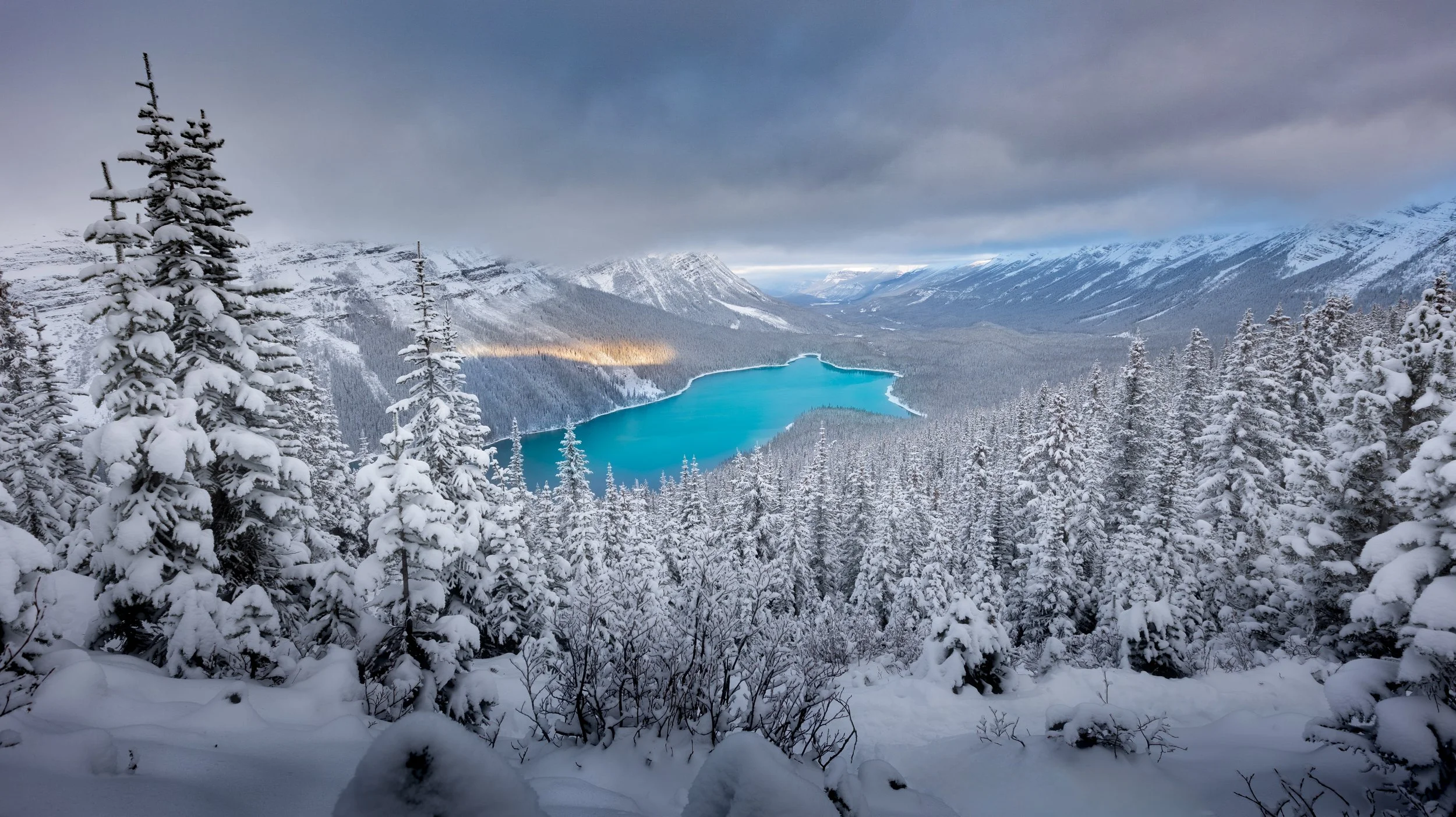 peyto lake final image print.jpg