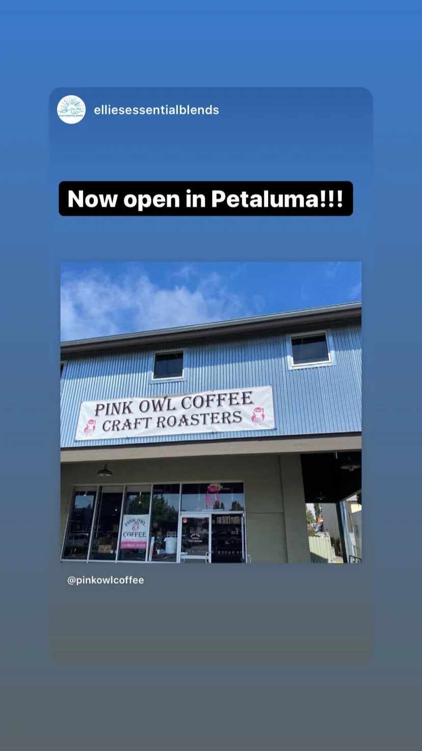 GALLERY — — PINK OWL COFFEE
