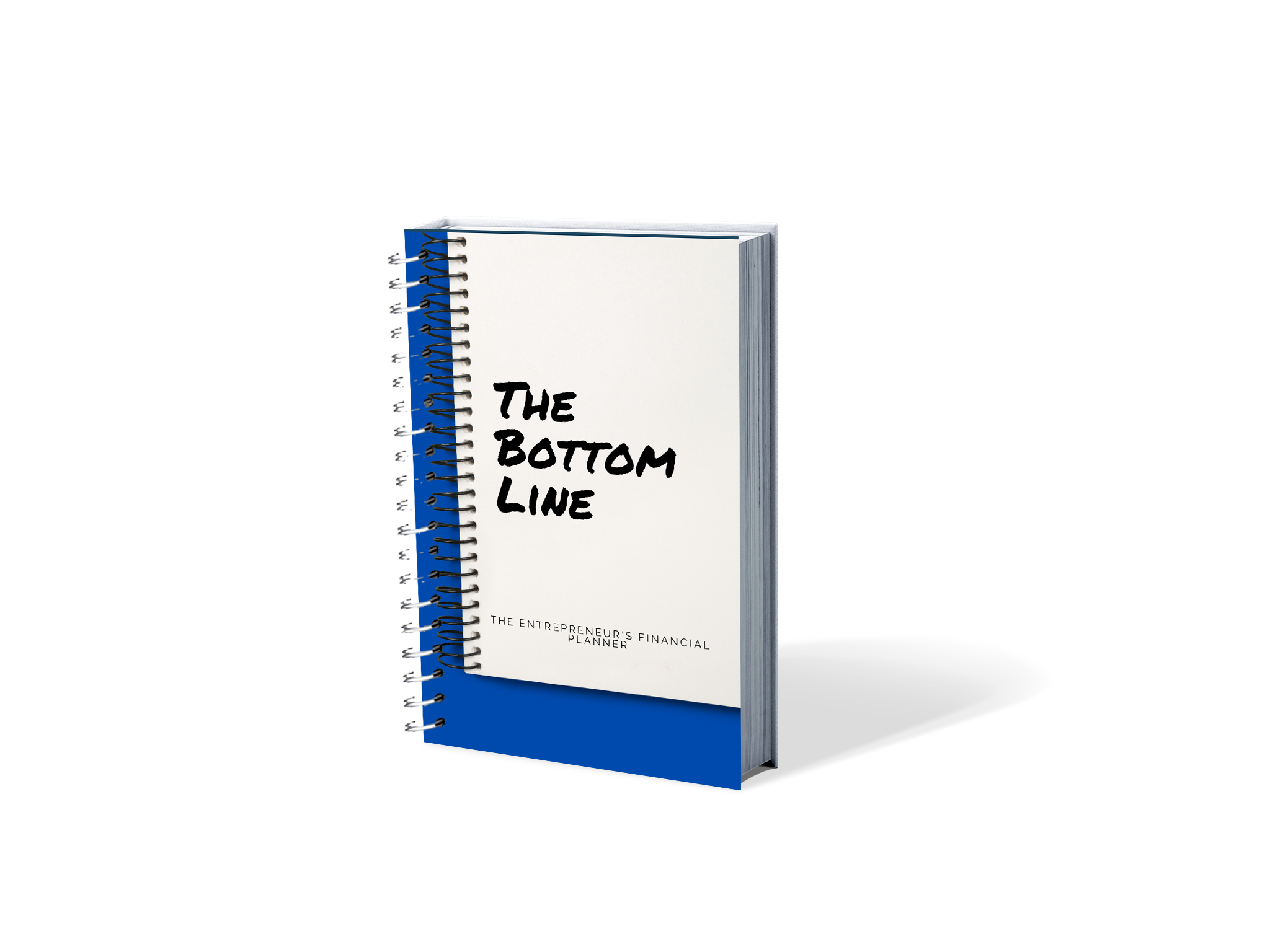 "The Bottom Line: The Entrepreneur's e-Financial Planner"