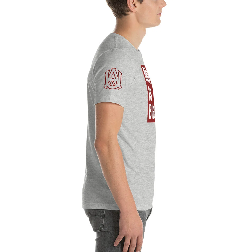 unisex-staple-t-shirt-athletic-heather-right-615109b3da025.jpg