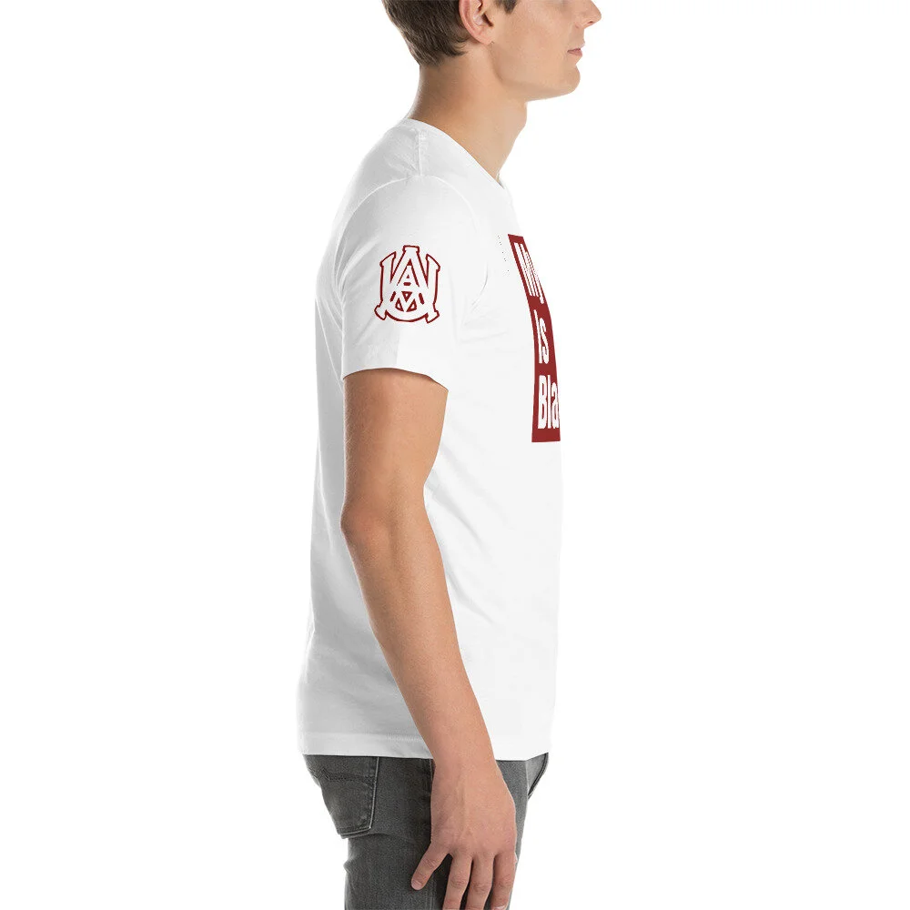 unisex-staple-t-shirt-white-right-615109b3da20b.jpg