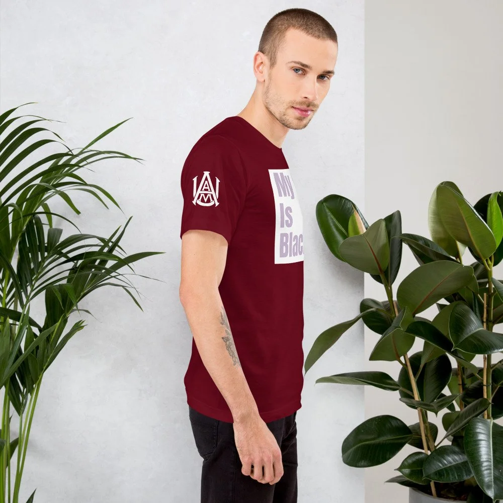 unisex-jersey-t-shirt-cranberry-right-61baa35054d82.jpg