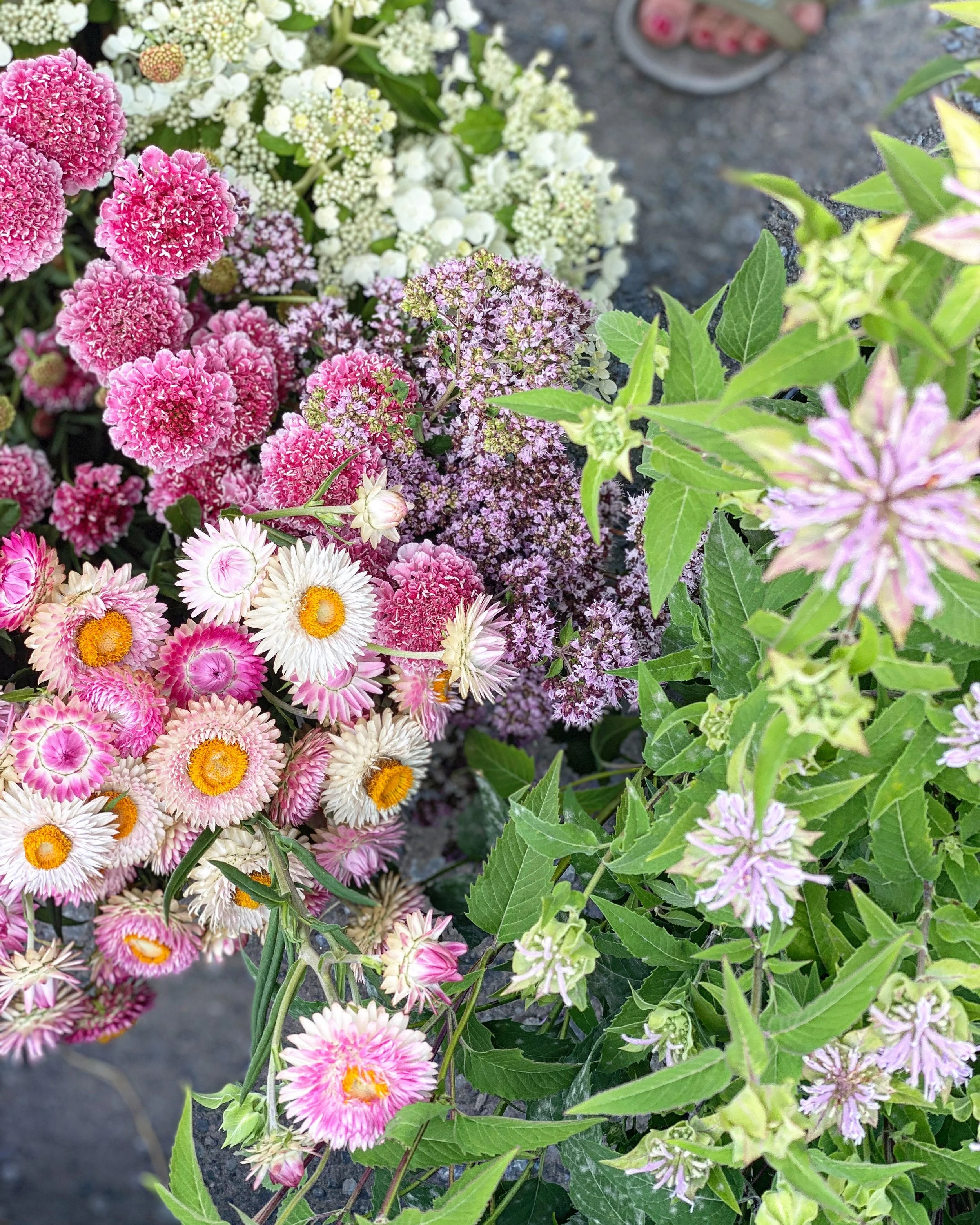 LocallyGrown Bulk Flowers and Greenery for DIY Weddings and Events in