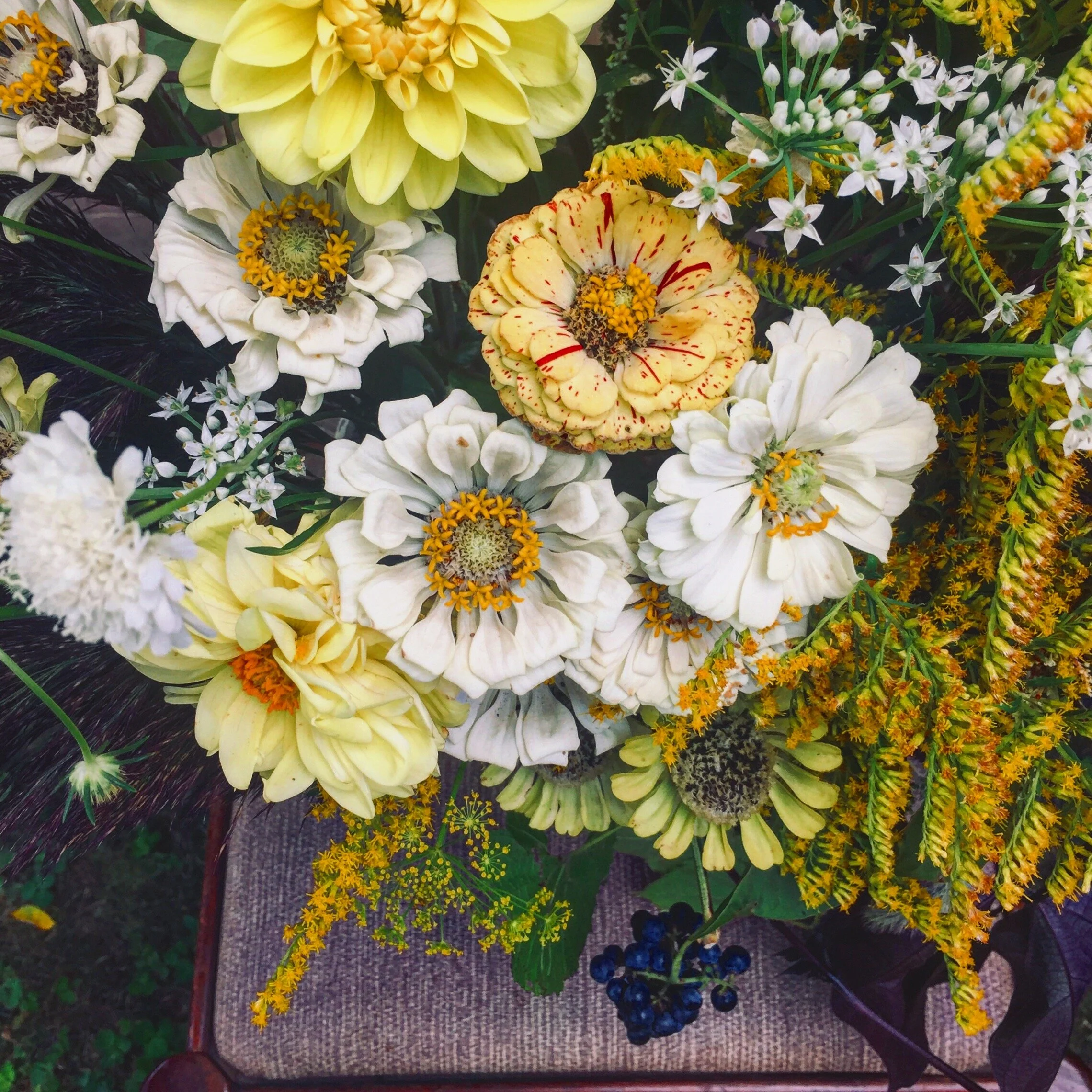 On Living a Creative Life and How Fish Pillows Got Me There