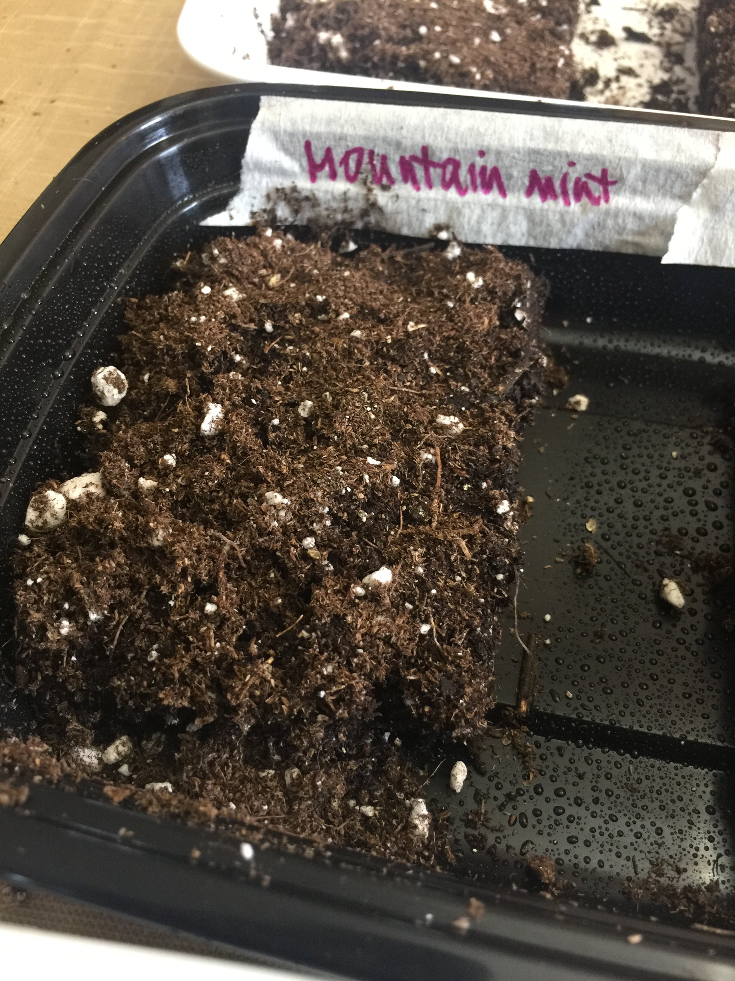 14. Sprinkle with Dry Soil to Cover